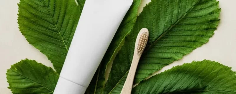 Pasta de dente vegana